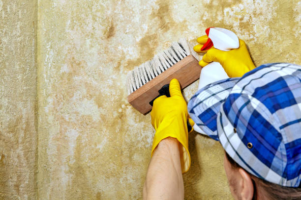 Dehumidification Services in Jacksonwald, PA